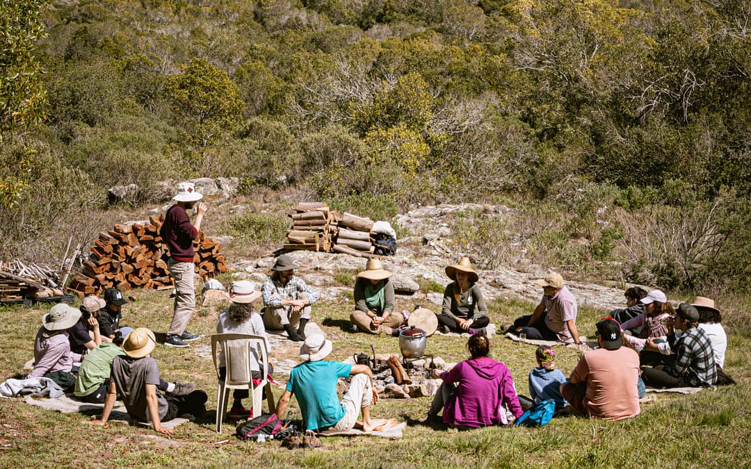 ✨ Regenerar Empresas: Coherencia y Naturaleza en la Innovación