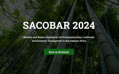 Participamos en el Primer Congreso del Bambú y Ratán en Nigeria – Africa