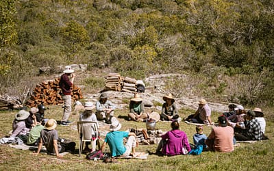 ✨ Regenerar Empresas: Coherencia y Naturaleza en la Innovación